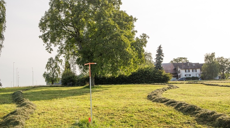 Foto des Grundstück mit aufgestellten Visieren
